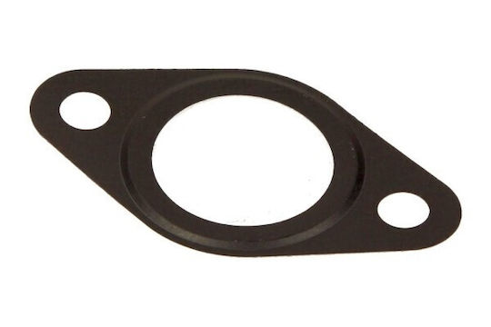 Garnitură Supapă Recirculare Gaze Eșapament Fiat Ducato 06 Iveco 5802102098