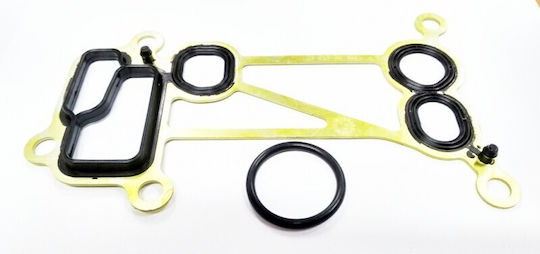 Set of Refrigerator and Oil Gaskets for BMW 08-16 11427808438