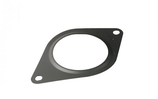 Fast Buds Exhaust Manifold Gasket for Fiat Ducato 14 2.3 Jtd 53140107