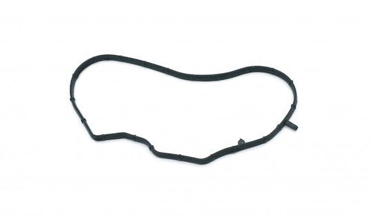 Τσιμούχα Καλύμματος Χρονισμού Peugeot Citroën 9814639380