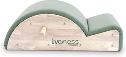 Liveness Spine Corrector PTX-1700G Multi Gym Exercise & Fitness Equipment without Weights