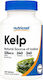 Nutricost Nutricost Meeresalgen 240 Tabletten