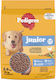 Pedigree 2.6kg Ξηρά Τροφή για Κουτάβια με Πουλερικά και Λαχανικά