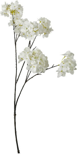 Planta Decorativă Hortensia Arpimex Srl Arp-a34913-wh