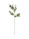Decorative Eucalyptus Branch 90cm Arpimex Srl Arp-a24382-cr