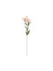 Decorative Lilium Branch 69cm Arpimex Srl Arp-a26773-pur