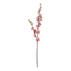 Arpimex Srl Weihnachtskranz Zweige Länge 80cm