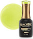 Gummi Grundierung Luxorise Charmante Kollektion...