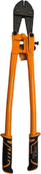Epica Star 505