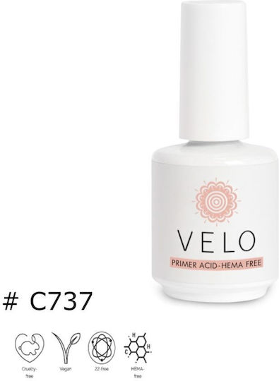Nailshop Grundierung Top/Base Mäntel für Einfache Nagellacke