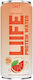 QNT QNT Erfrischungsgetränk Orange mit Kohlensäure 330ml