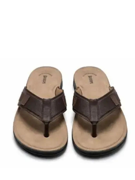 Adam's Shoes