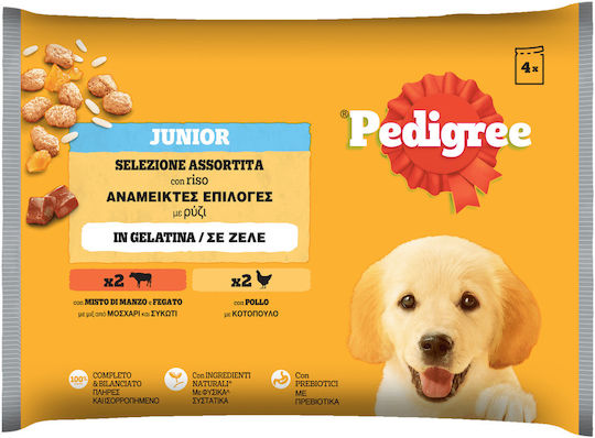 Pedigree Dry Food For Puppies With Liver Rice And Chicken