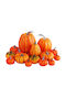 Artificial Pumpkins Set 12 Realistic Autumn Decoration