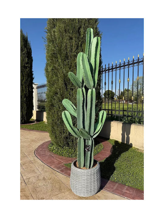 Cactus Artificial Opuntia 191cm Ghiveci Modern Eva