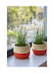 Grass Set Potted Plant 15x15x30cm Green Kaeming