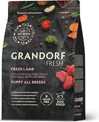Grandorf Fresh Grandorf Fresh