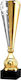 Tryumf Gold Medaille Für Sportpreise