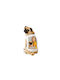 Woof Up Dog Shirt White XS