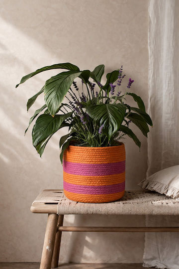 Vaze Pentru Plante Portocalii Roz Linii 21cm 21x21x21cm Monocrom Kaeming