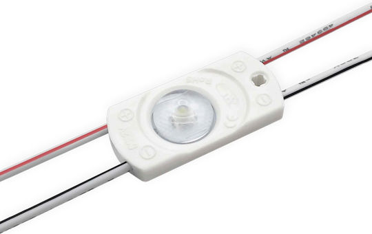 LED Модул 12V 0.24W Топло Бяло 1 Брой 92010901-016