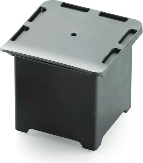 Silikomart Bakeware Tin For Cake 6 Sockets 6.5x6.5x6.5cm 6 Pieces