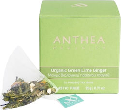 Anthea Produs Organic Lime Ghimbir Plicuri 10 Bucăți Anthea Produs Organic Lime Ghimbir Plicuri 10 Bucăți