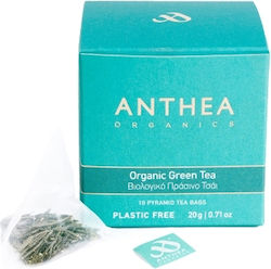 Anthea Βιολογικό Πράσινο Τσάι Πυραμίδες 10τεμ Κουτί