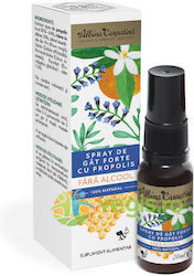 Spray Puternic Pentru Gât Propolis Fără Alcool 20ml Spray Puternic Pentru Gât Propolis Fără Alcool 20ml