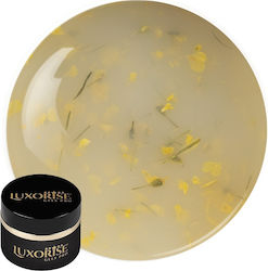Luxorise Revoflex Floral UV Gel Nagelaufbau 15m...