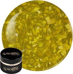 Uv Gel Nagelaufbau Revoflex Floral Luxorise 15m...