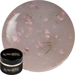 Uv Gel Nagelaufbau Revoflex Floral Luxorise 15m...
