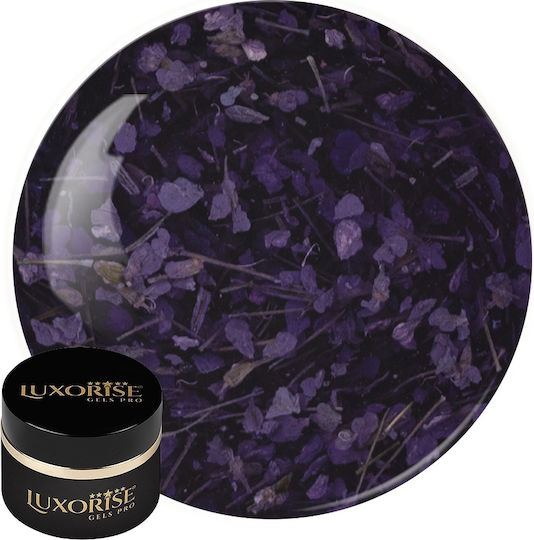Uv Gel Nail Construction Revoflex Floral Luxorise 15ml Enchanted Iris