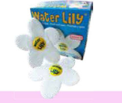 Water Lily