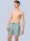 Men's Swimwear Shorts Green Striped