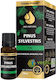 Reines Integral Kiefer Ätherisches Öl Für den Inneren Gebrauch 10ml