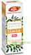 Frankincense Essential Oil R54 10ml