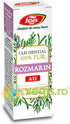100% Pure Rosemary Oil A11 Botanical Biochemical Definition 10ml 100% Pure Rosemary Oil A11 Botanical Biochemical Definition 10ml