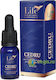 Zedernholz Ätherisches Öl 10ml