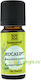 Ulei Esențial Bio Organic de Eucaliptus 10ml