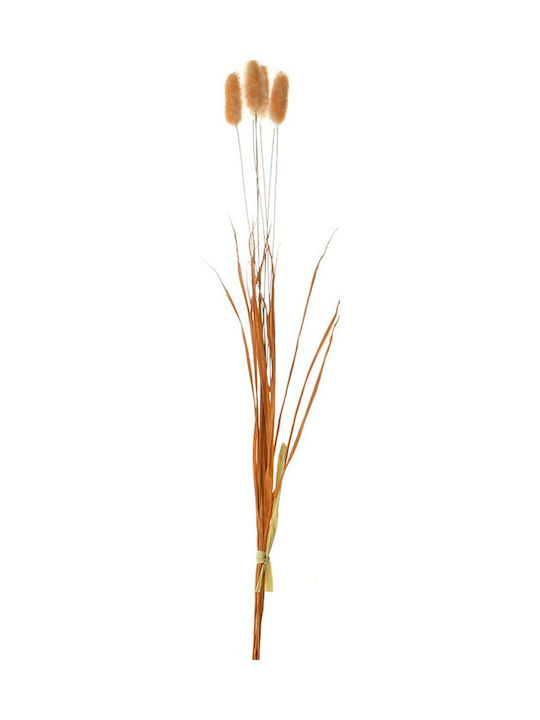 Zmart Imports Dekorative künstliche Blumen & Pflanzen Ματσάκι 6 Orange Κλαδιά Γατούλα 60 Εκ