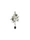 Olive Tree H120cm