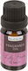 Aromatisches Öl Öl Burner 10 Ml Lily Blume