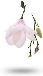 Miros Magnolia 50ml
