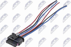 Κιτ Επισκευής Καλωδίων Πίσω Φανάρι Mini Mini 2013-0 2.0l Hatchback Mini Mini 2013-0 1.5l Hatchback Mini Mini 2013-2016 1.2l Hatchback Κιτ Επισκευής Καλωδίων Πίσω Φανάρι Mini Mini 2013-0 2.0l Hatchback Mini Mini 2013-0 1.5l Hatchback Mini Mini 2013-2016 1.2l Hatchback