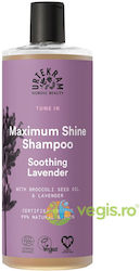 Shampoo Hair Shine Organic Lavender 500ml Shampoo Hair Shine Organic Lavender 500ml