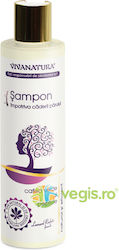 Vivanatura Anti Haarausfall Shampoo Grüner Kaffee Peptide 250ml Vivanatura Anti Haarausfall Shampoo Grüner Kaffee Peptide 250ml