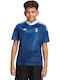 Greece National Team 2026 Away Kids Football Jersey Sports Fan Jersey