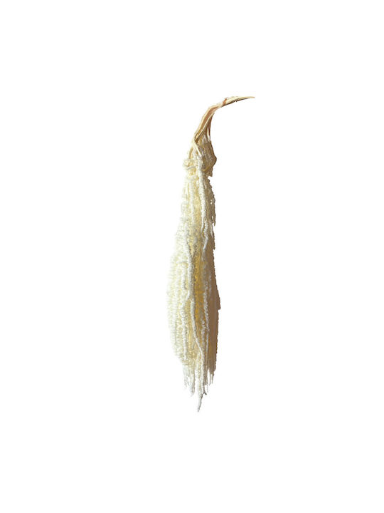 Dried Ecru Plant 120cm 5 Pieces Marhome