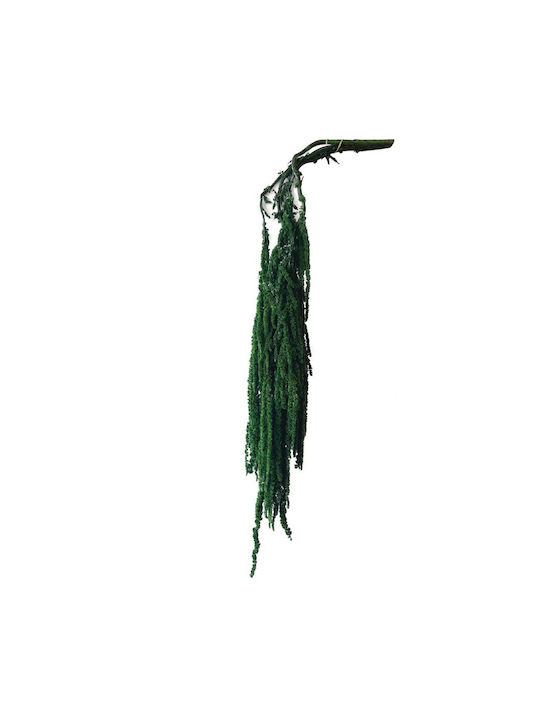 Dried Plant 120cm 5 Pieces Marhome